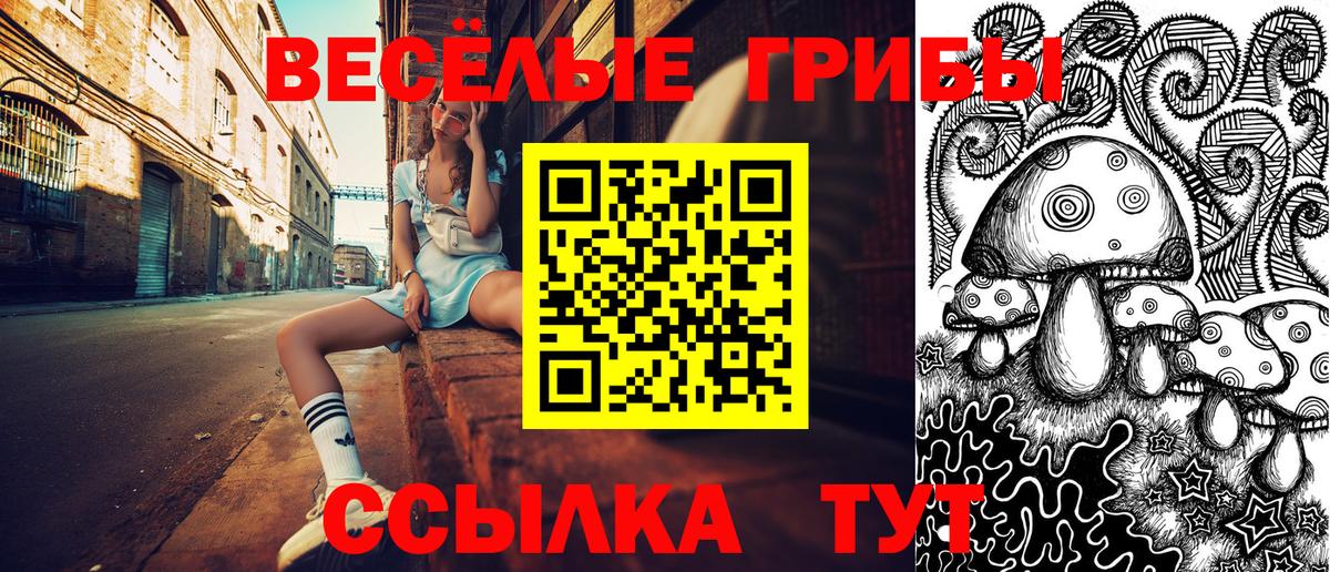 Псилоцибиновые грибы MAGIC MUSHROOMS  Вход с VPN  даркнет сайт  Димитровград 